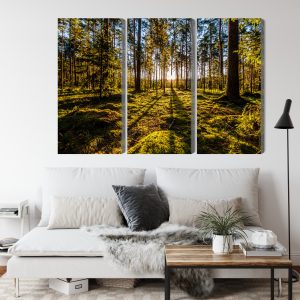 Peinture en plusieurs parties Rayons De Soleil Du Matin Dans La Forêt – Image 4