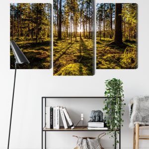 Peinture en plusieurs parties Rayons De Soleil Du Matin Dans La Forêt – Image 9