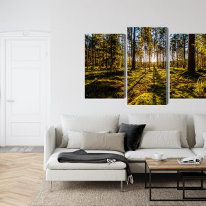 Peinture en plusieurs parties Rayons De Soleil Du Matin Dans La Forêt – Image 6