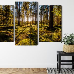 Peinture en plusieurs parties Rayons De Soleil Du Matin Dans La Forêt – Image 8
