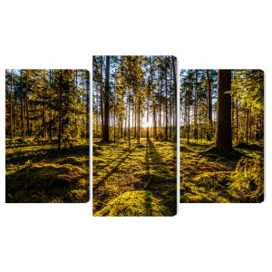 Peinture en plusieurs parties Rayons De Soleil Du Matin Dans La Forêt – Image 2