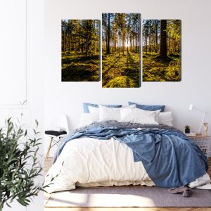 Peinture en plusieurs parties Rayons De Soleil Du Matin Dans La Forêt – Image 3