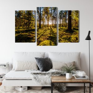 Peinture en plusieurs parties Rayons De Soleil Du Matin Dans La Forêt – Image 4