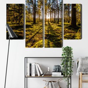 Peinture en plusieurs parties Rayons De Soleil Du Matin Dans La Forêt – Image 9