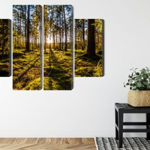 Peinture en plusieurs parties Rayons De Soleil Du Matin Dans La Forêt – Image 8