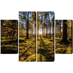 Peinture en plusieurs parties Rayons De Soleil Du Matin Dans La Forêt – Image 2