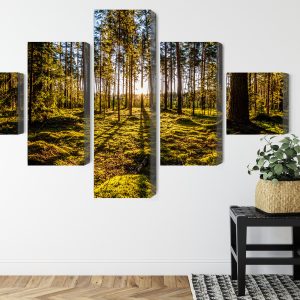 Peinture en plusieurs parties Rayons De Soleil Du Matin Dans La Forêt – Image 8