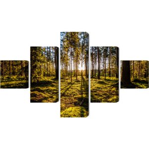 Peinture en plusieurs parties Rayons De Soleil Du Matin Dans La Forêt – Image 2
