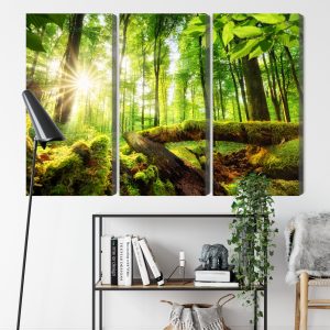 Peinture en plusieurs parties Rayons Du Soleil Dans La Forêt 3D – Image 9