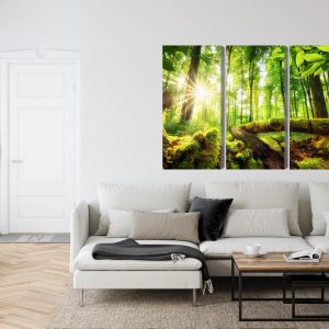 Peinture en plusieurs parties Rayons Du Soleil Dans La Forêt 3D – Image 6