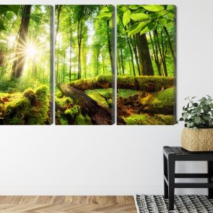 Peinture en plusieurs parties Rayons Du Soleil Dans La Forêt 3D – Image 8