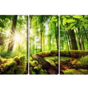 Peinture en plusieurs parties Rayons Du Soleil Dans La Forêt 3D – Image 2