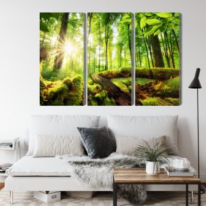 Peinture en plusieurs parties Rayons Du Soleil Dans La Forêt 3D – Image 4