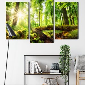 Peinture en plusieurs parties Rayons Du Soleil Dans La Forêt 3D – Image 9