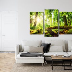 Peinture en plusieurs parties Rayons Du Soleil Dans La Forêt 3D – Image 6