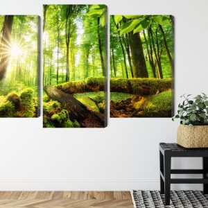 Peinture en plusieurs parties Rayons Du Soleil Dans La Forêt 3D – Image 8