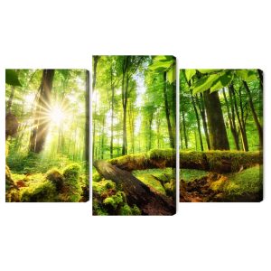 Peinture en plusieurs parties Rayons Du Soleil Dans La Forêt 3D – Image 2
