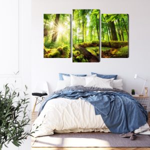 Peinture en plusieurs parties Rayons Du Soleil Dans La Forêt 3D – Image 3