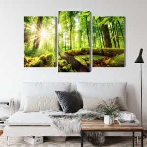 Peinture en plusieurs parties Rayons Du Soleil Dans La Forêt 3D – Image 4