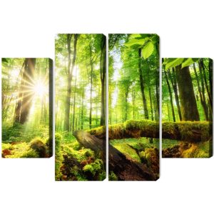 Peinture en plusieurs parties Rayons Du Soleil Dans La Forêt 3D – Image 2