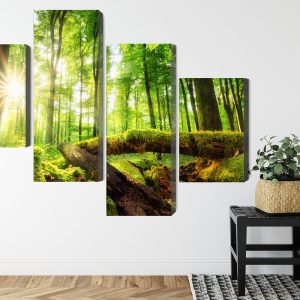 Peinture en plusieurs parties Rayons De Soleil Dans Une Forêt 3D – Image 8