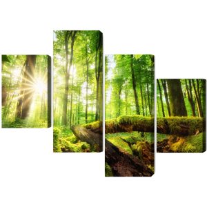Peinture en plusieurs parties Rayons De Soleil Dans Une Forêt 3D – Image 2