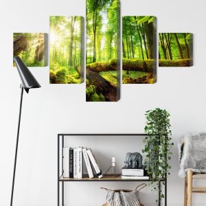 Peinture en plusieurs parties Rayons Du Soleil Dans La Forêt 3D – Image 9