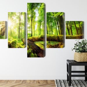 Peinture en plusieurs parties Rayons Du Soleil Dans La Forêt 3D – Image 8