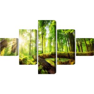 Peinture en plusieurs parties Rayons Du Soleil Dans La Forêt 3D – Image 2