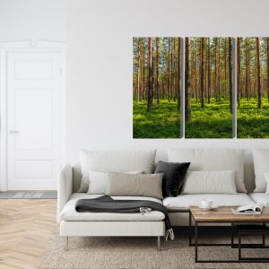 Peinture en plusieurs parties Pinède 3D – Image 6