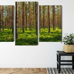 Peinture en plusieurs parties Pinède 3D – Image 8