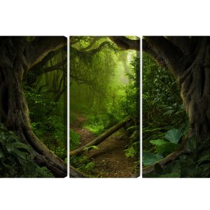 Peinture en plusieurs parties Chemin Dans Une Forêt Tropicale – Image 2