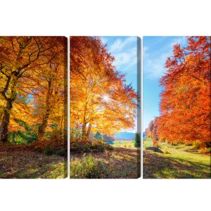 Peinture en plusieurs parties Arbres D'automne Colorés – Image 2
