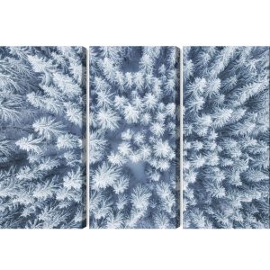 Peinture en plusieurs parties Vue Aérienne De La Forêt D'hiver – Image 2