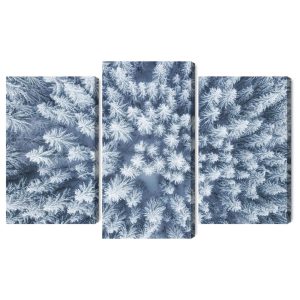 Peinture en plusieurs parties Vue Aérienne De La Forêt D'hiver – Image 2