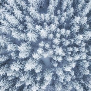 Peinture en plusieurs parties Vue Aérienne De La Forêt D'hiver – Image 1
