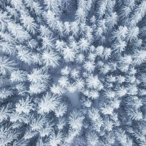 Peinture en plusieurs parties Vue Aérienne De La Forêt D'hiver – Image 1