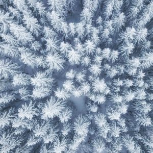Peinture en plusieurs parties Vue Aérienne De La Forêt D'hiver – Image 1