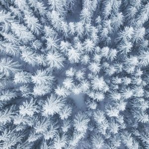 Peinture en plusieurs parties Vue Aérienne De La Forêt D'hiver – Image 1