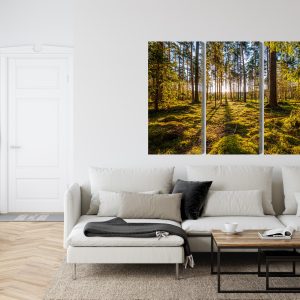 Peinture en plusieurs parties Paysage Forestier Ensoleillé 3D – Image 6