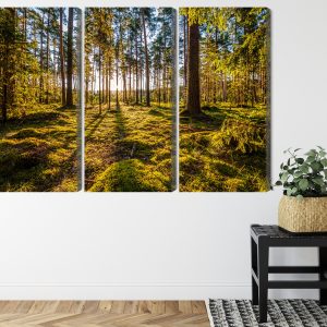 Peinture en plusieurs parties Paysage Forestier Ensoleillé 3D – Image 8