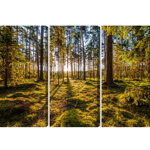 Peinture en plusieurs parties Paysage Forestier Ensoleillé 3D – Image 2