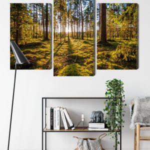 Peinture en plusieurs parties Paysage Forestier Ensoleillé 3D – Image 9