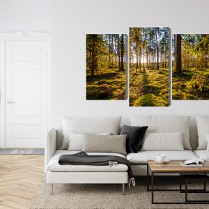 Peinture en plusieurs parties Paysage Forestier Ensoleillé 3D – Image 6