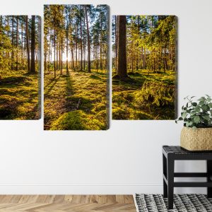 Peinture en plusieurs parties Paysage Forestier Ensoleillé 3D – Image 8