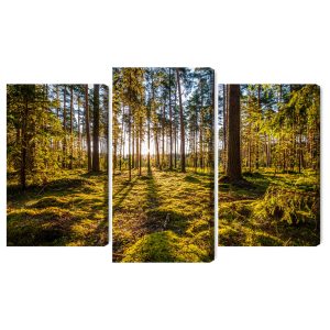 Peinture en plusieurs parties Paysage Forestier Ensoleillé 3D – Image 2