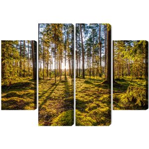 Peinture en plusieurs parties Paysage Forestier Ensoleillé 3D – Image 2