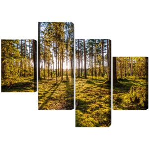 Peinture en plusieurs parties Paysage Forestier Ensoleillé 3D – Image 2