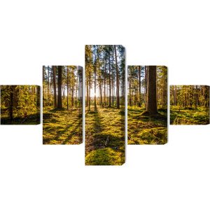Peinture en plusieurs parties Paysage Forestier Ensoleillé 3D – Image 2