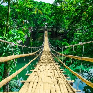 Peinture en plusieurs parties Pont En Bambou Dans La Forêt Tropicale – Image 1